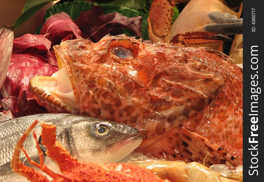 Fresh fish waiting to be cooked in a restaurant. Fresh fish waiting to be cooked in a restaurant