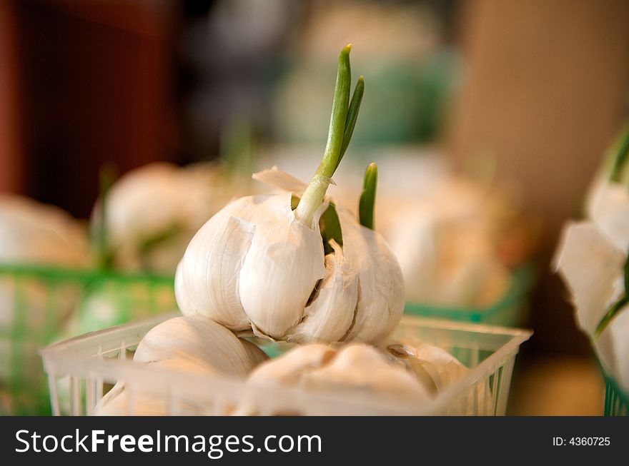 Fresh Garlic for sale in a basket
