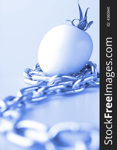 White tomato with a chain in a blue color. White tomato with a chain in a blue color