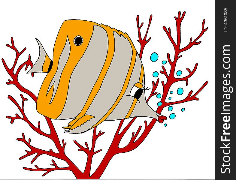 Butterfly fish float betwen rif