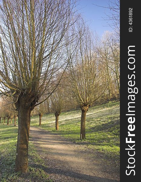 Recreation park in Rijswijk, Holland, in spring. Recreation park in Rijswijk, Holland, in spring