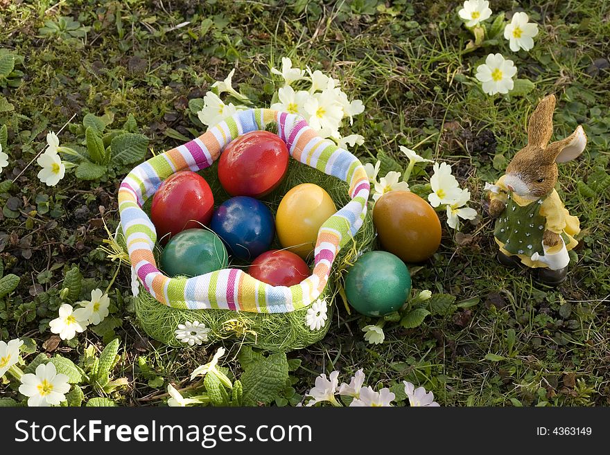 The searches of Easter eggs are a popular custom to the Easter party.