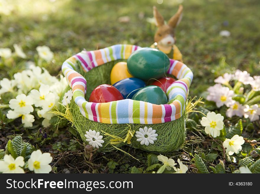 The searches of Easter eggs are a popular custom to the Easter party.