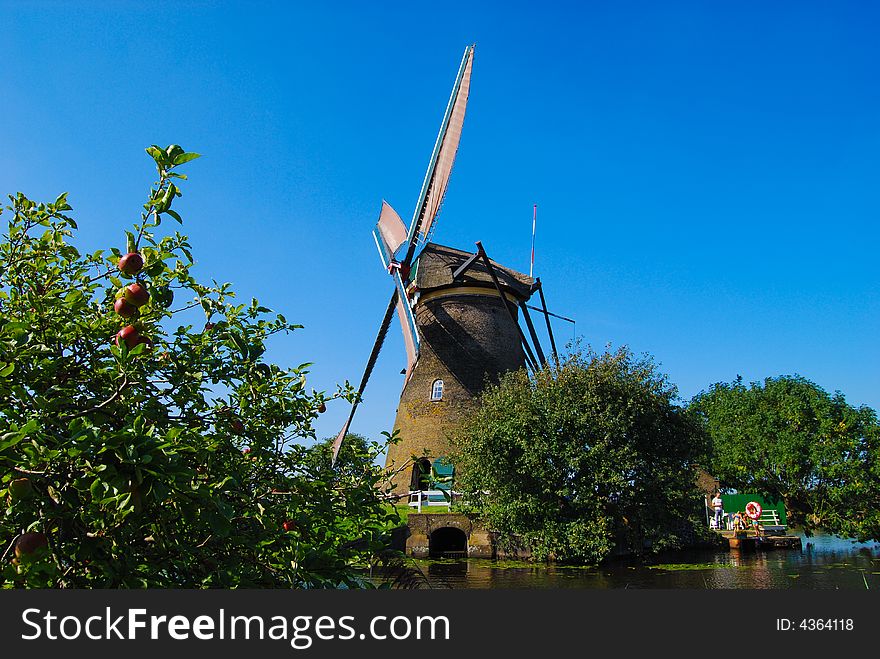 Dutch mill on the waterside with an appletree