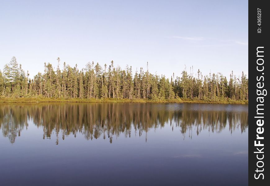 You have to walk through a cranberry bog to see this forest pond.
