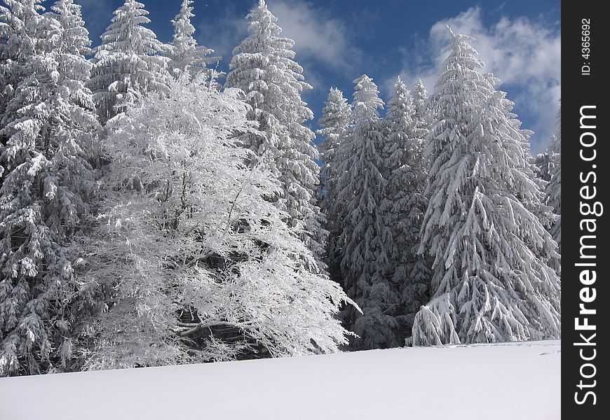 Bucegi Mountains  - Winter