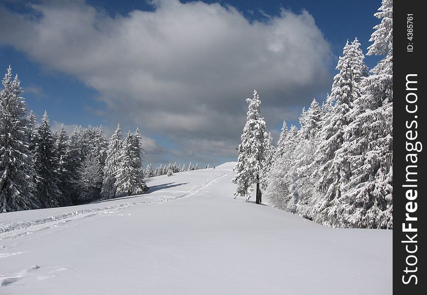 Bucegi Mountains  - Winter 2