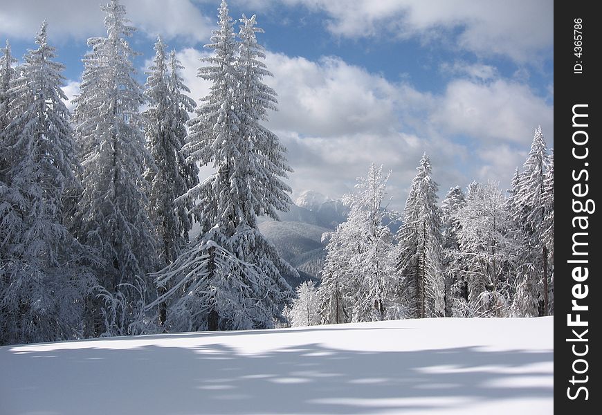 Bucegi Mountains  - Winter 3