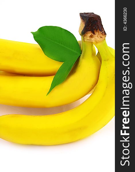 Fresh tasty bananas on white background. Fresh tasty bananas on white background