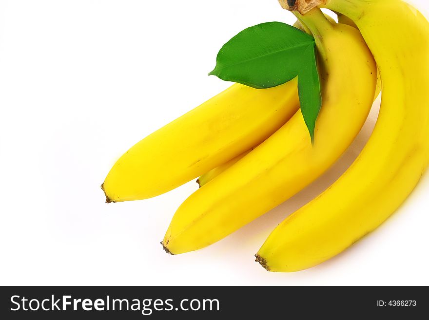 Banana Bundle