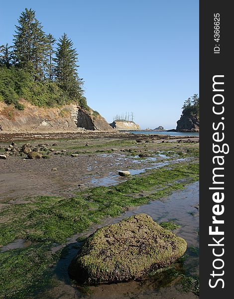 Sunset Bay at low tide - Sunset Bay State Park