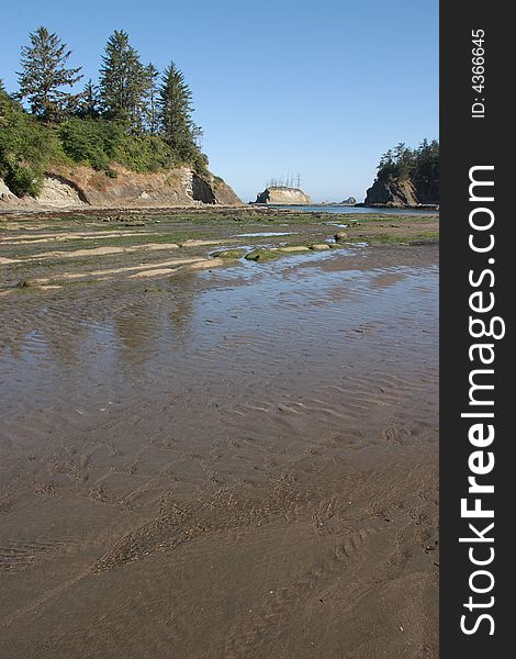 Sunset Bay at low tide - Sunset Bay State Park