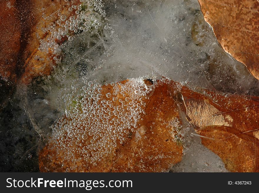 Abstraction of dead leaves and oxygenbubbles in ice.
