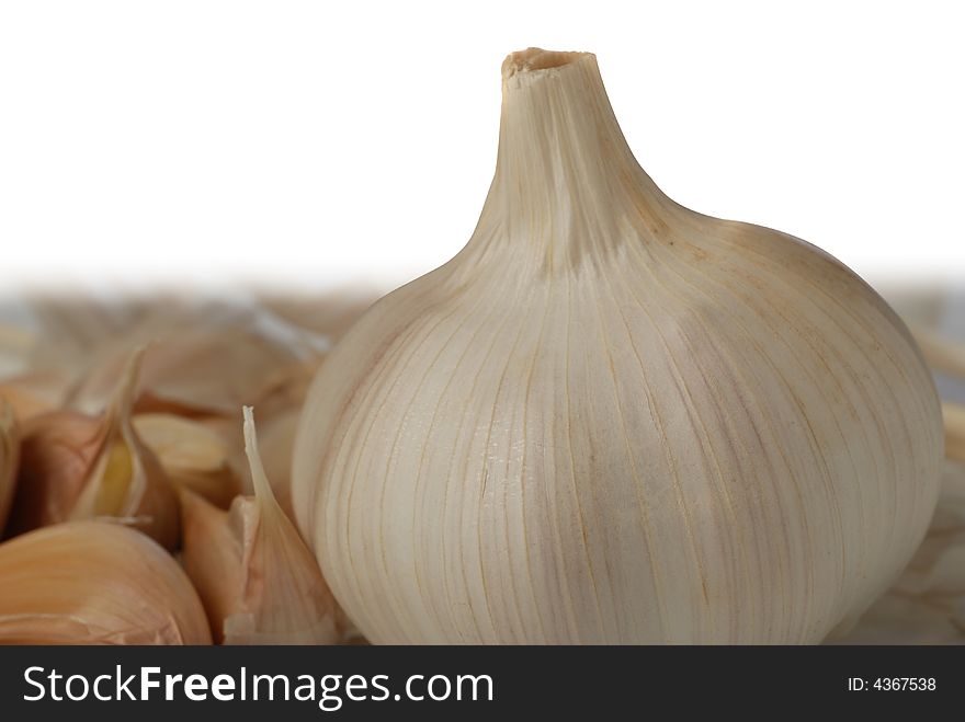 Garlic. A head of garlic isolated on a white background. Garlic. A head of garlic isolated on a white background