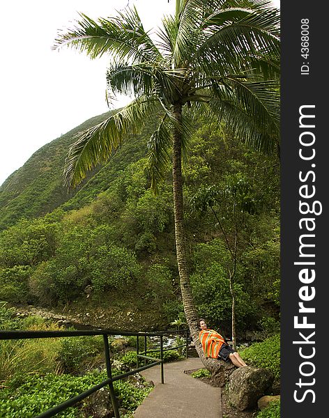 A man is having a nap under the palm tree