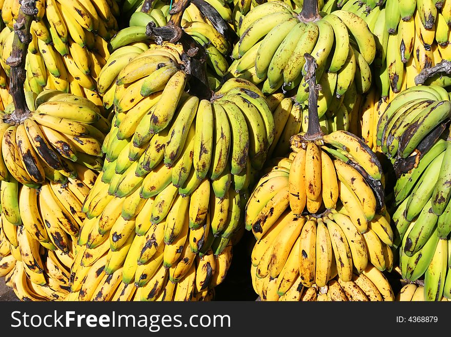 A large bunch of bananas. A large bunch of bananas