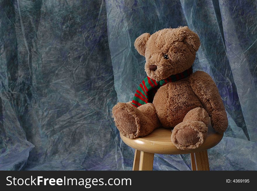 Studio Portrait Of Teddy Bear