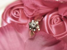 Diamond Ring In Satin Roses Stock Image Diamond Ring In Satin Roses Stock Image