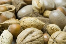Mixed Nuts Royalty Free Stock Images Mixed Nuts Royalty Free Stock Images