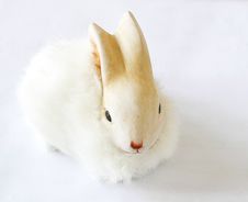 Easter Rabbit Royalty Free Stock Images Easter Rabbit Royalty Free Stock Images
