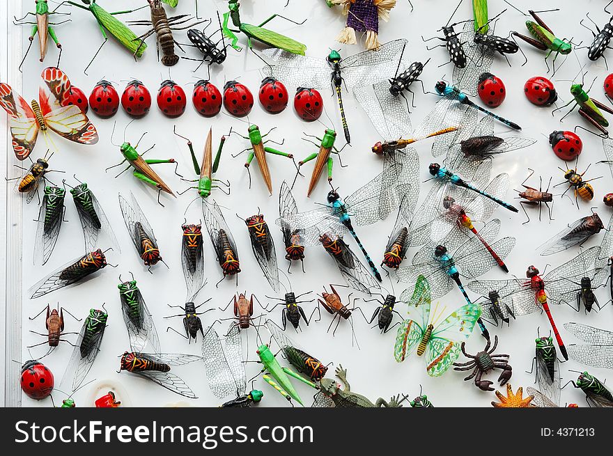 In great quantities various model with small insect of category. In great quantities various model with small insect of category