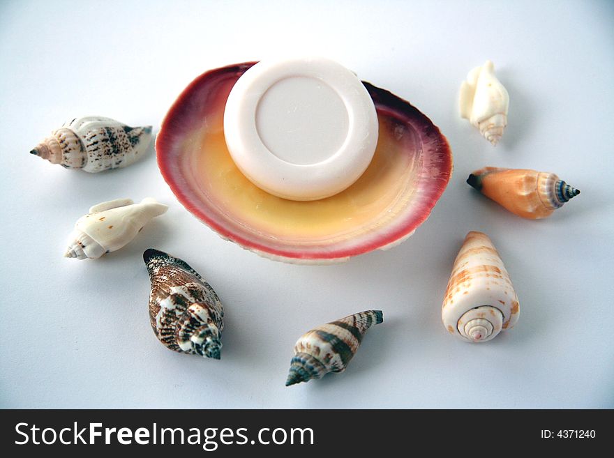 Luxury soap of natural basis with shells. Luxury soap of natural basis with shells.