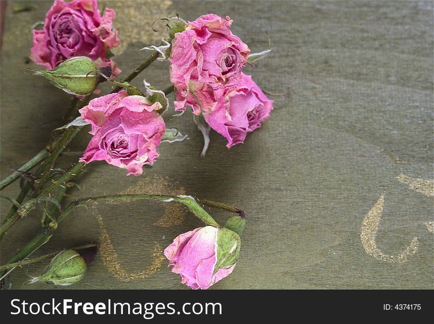 Dried rose on the green wood table