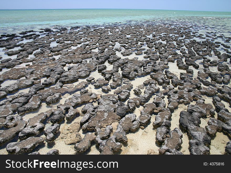 Wide angle view on a beautiful natural attraction of famous cost reefs in Australia. Wide angle view on a beautiful natural attraction of famous cost reefs in Australia.