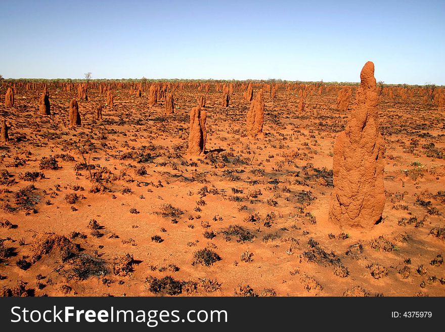 Land of termitesí nests on Tanami road. Australia. Land of termitesí nests on Tanami road. Australia