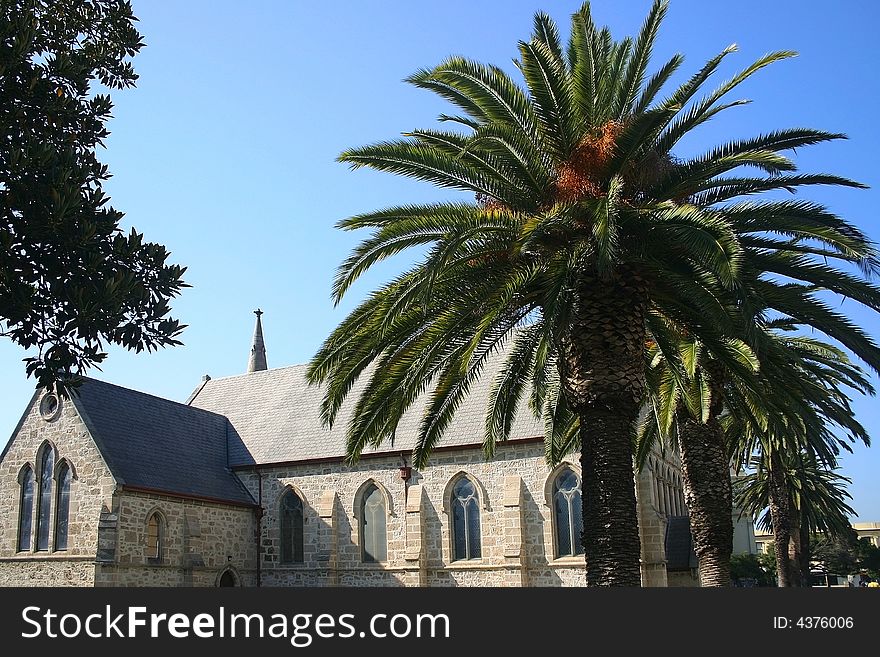Palm leaves with church roof and tower in background. Australia. Palm leaves with church roof and tower in background. Australia.