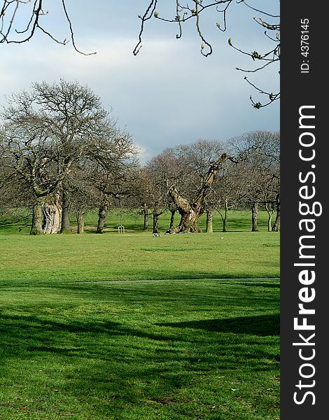 Greenwich Park In London