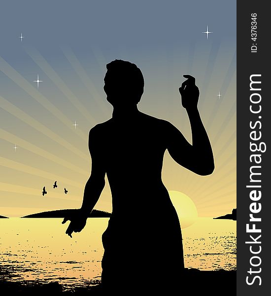 Summer sunset silhouette vector illustration