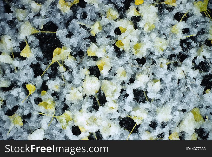 Snow and leaves texture on black asphalt background