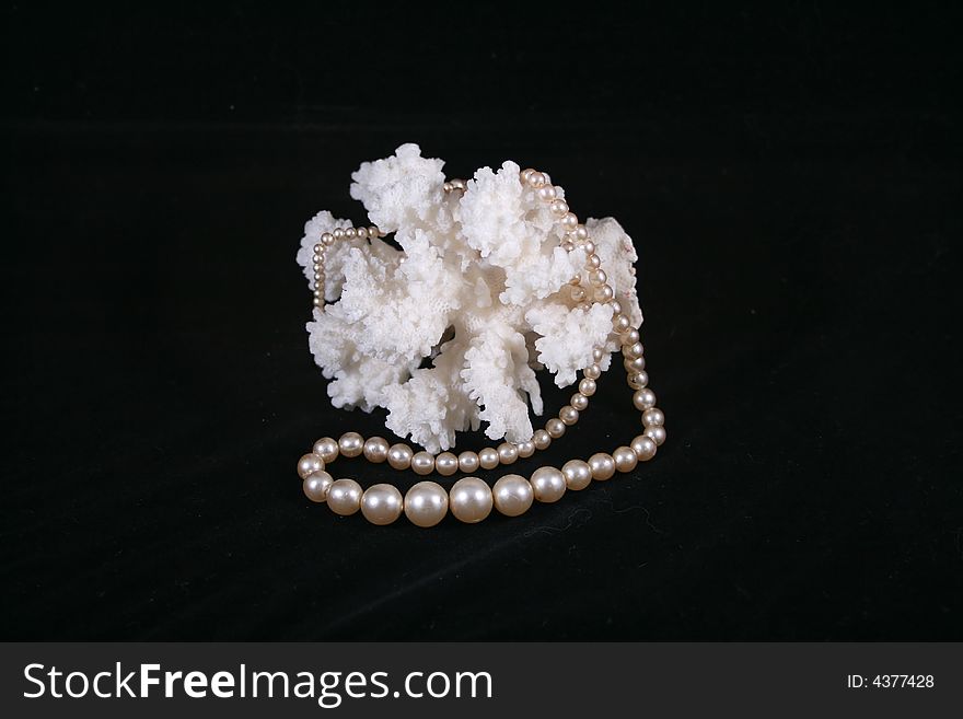 White pearl necklace and white coral on the black background. White pearl necklace and white coral on the black background