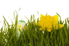 Easter Egg And Daffodil Royalty Free Stock Photo Easter Egg And Daffodil Royalty Free Stock Photo