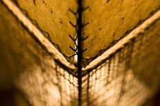 Lamp Shade Stock Photo Lamp Shade Stock Photo