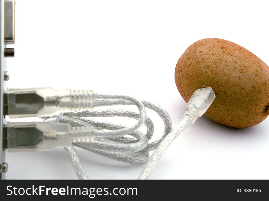 The Kiwifruit Connected Through Cable