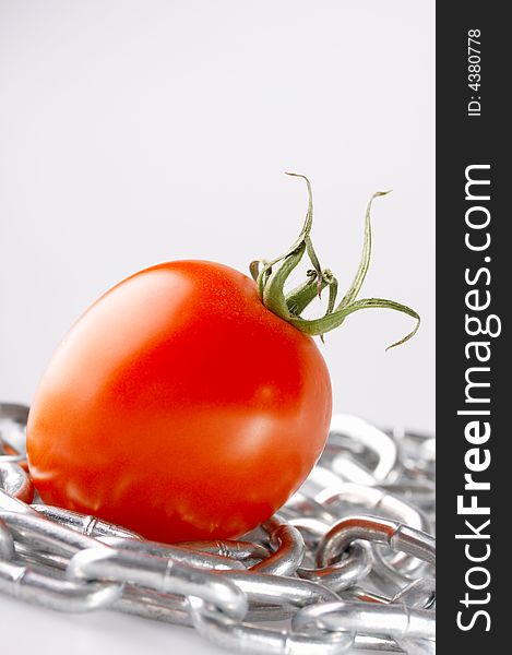 Red tomato with a chain on a white background. Red tomato with a chain on a white background