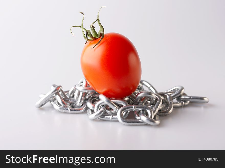 Red tomato with a chain on a white background. Red tomato with a chain on a white background