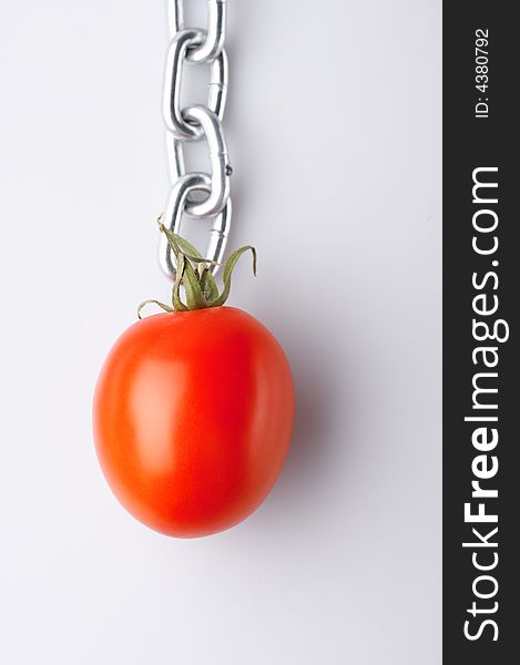 Red tomato hanging on a chain. Red tomato hanging on a chain