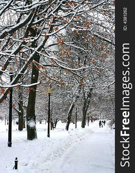 Stock image of a snowing winter at Boston, Massachusetts, USA. Stock image of a snowing winter at Boston, Massachusetts, USA