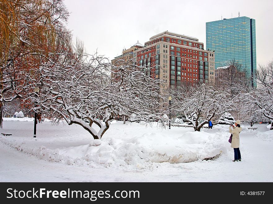 Boston Winter