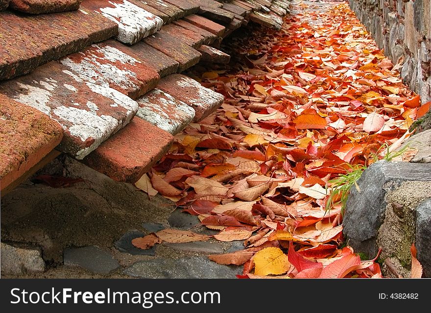 Autumn leaves below a church roof.