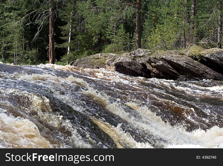 Landscape with rapid, forest and rocks