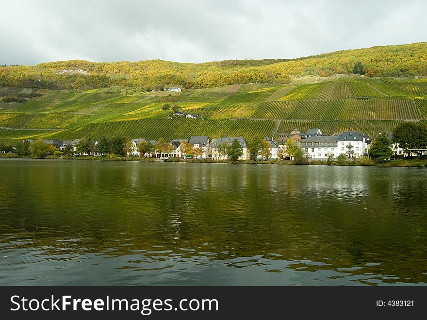 Vineyards at the German Mosel