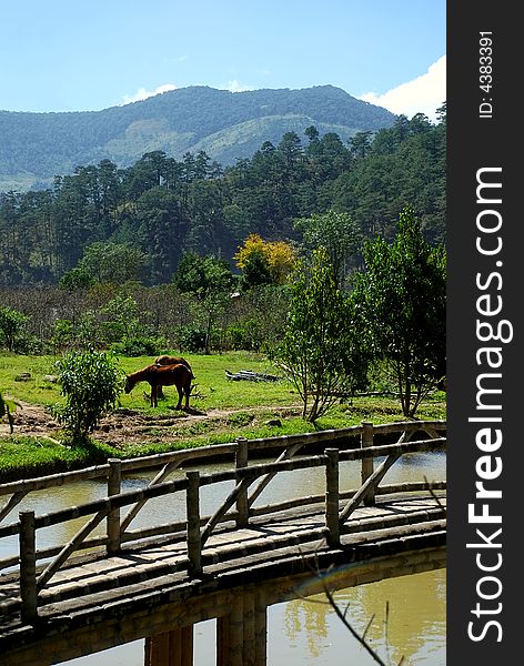 The peaceful landscape in mountain. The peaceful landscape in mountain