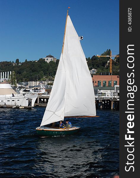 Sailboat on the water backdropped by city dweller homes