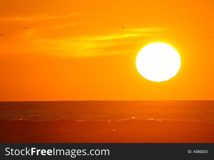 Gorgeous Sunset at Piha in Auckland New Zealand