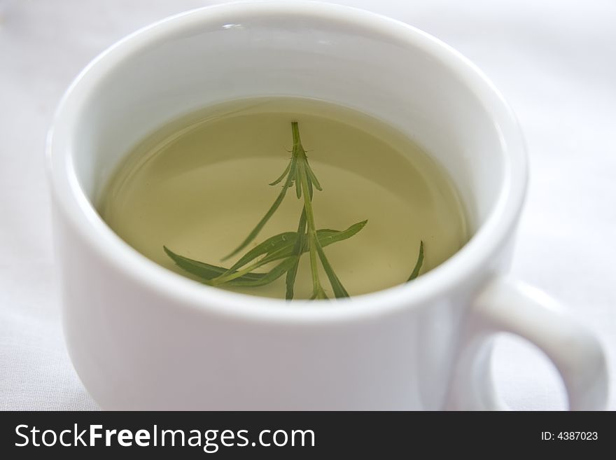 Hot Herbal Tea in a White Tea Cup