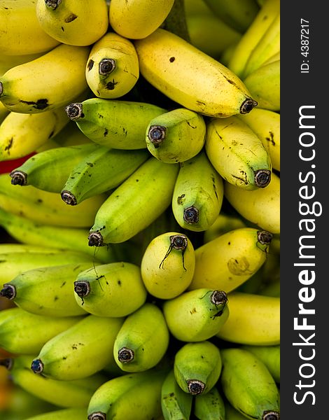 A bunch of ripe yellow bananas. A bunch of ripe yellow bananas